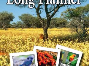 Native Birds and Wildflowers LONG PLANNER 2026