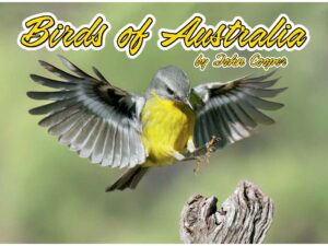 Birds of Australia 2026
