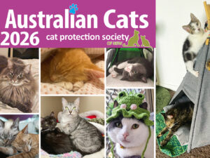 Australian Cats 2026
