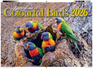 Australian Colourful Birds 2026