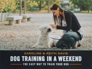 DOG TRAINING IN A WEEKEND