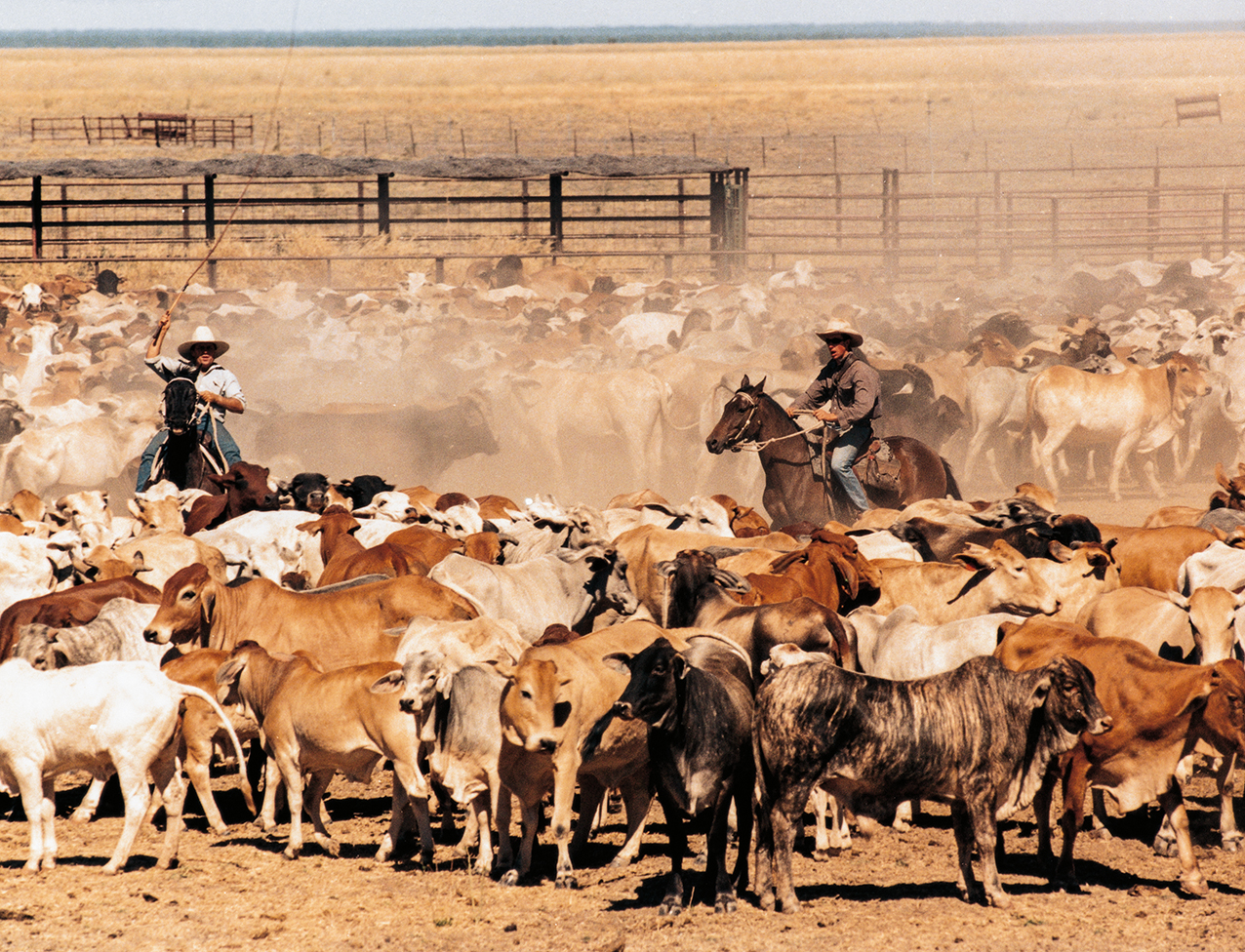 Outback Australia 2027 - Image 5
