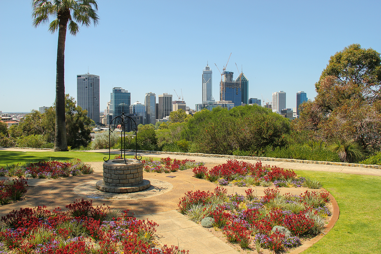 Blooming Australia 2027 - Image 4
