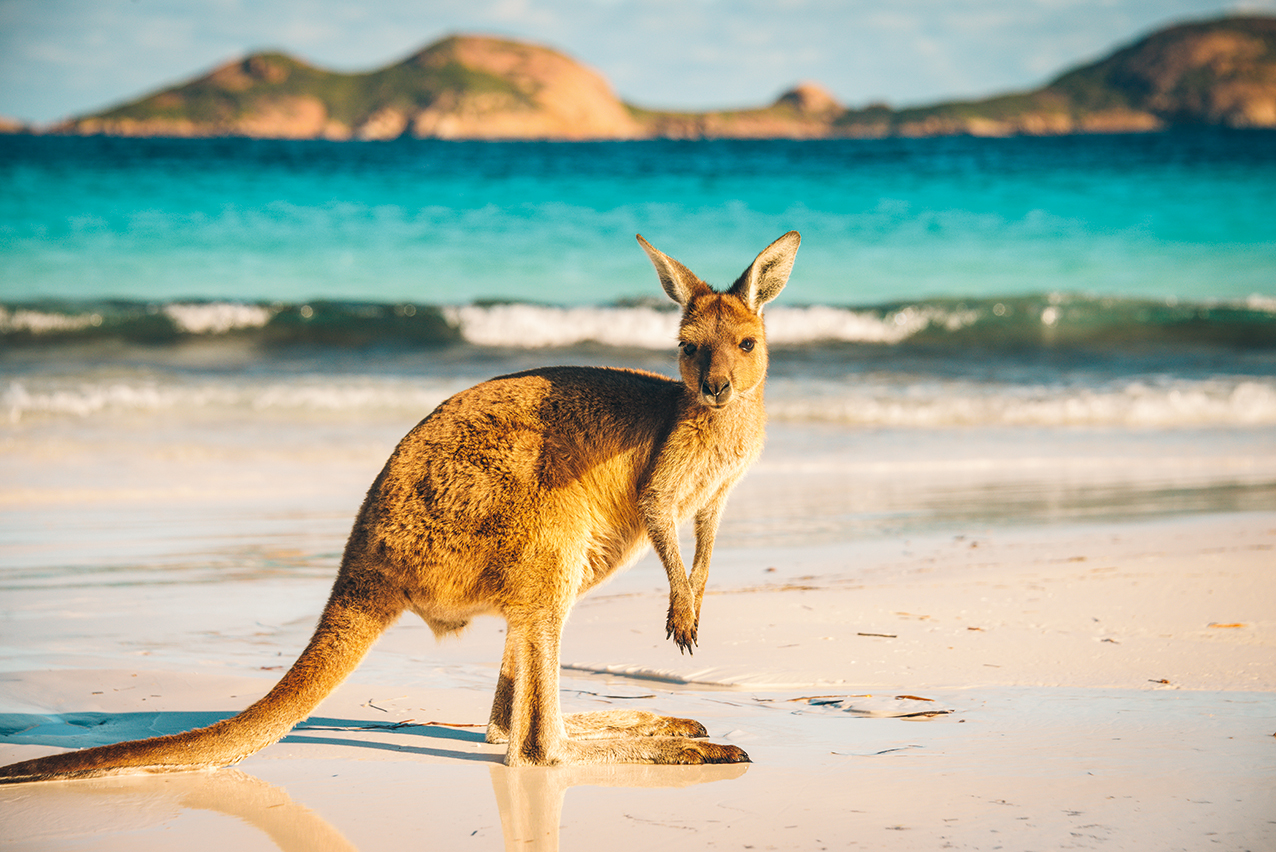 Australia Land of Colour 2027 - Image 5