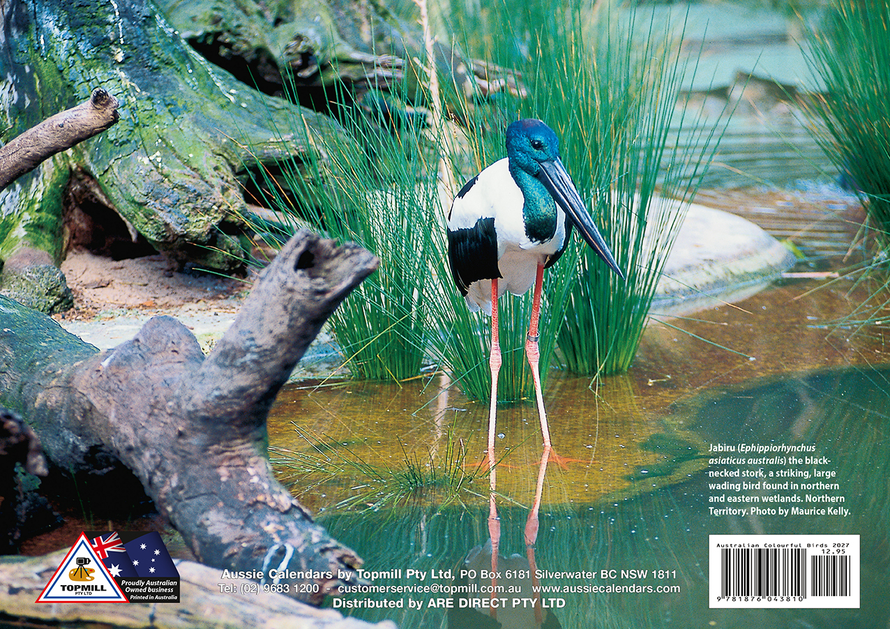 Australian Colourful Birds 2027 - Image 5