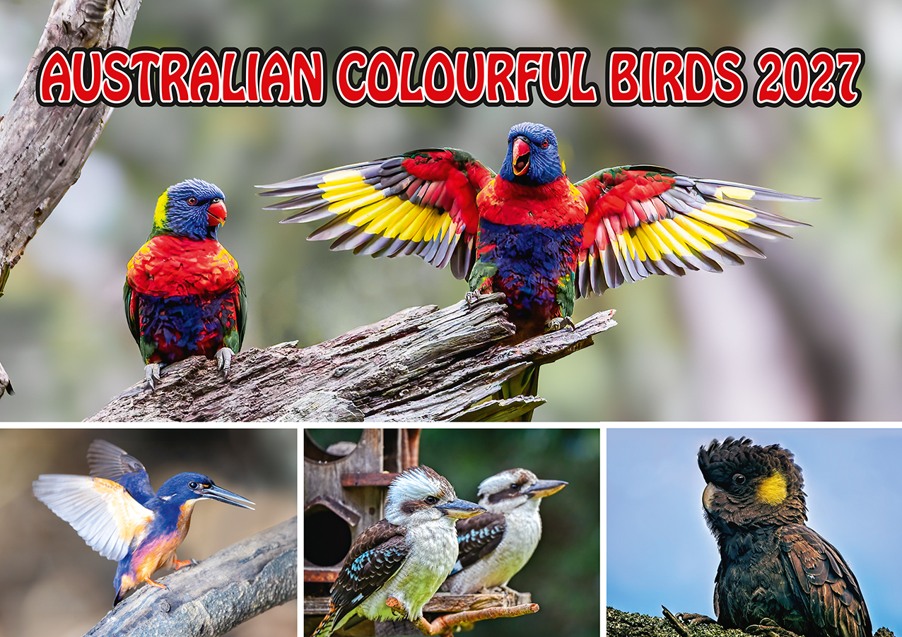 Australian Colourful Birds 2027
