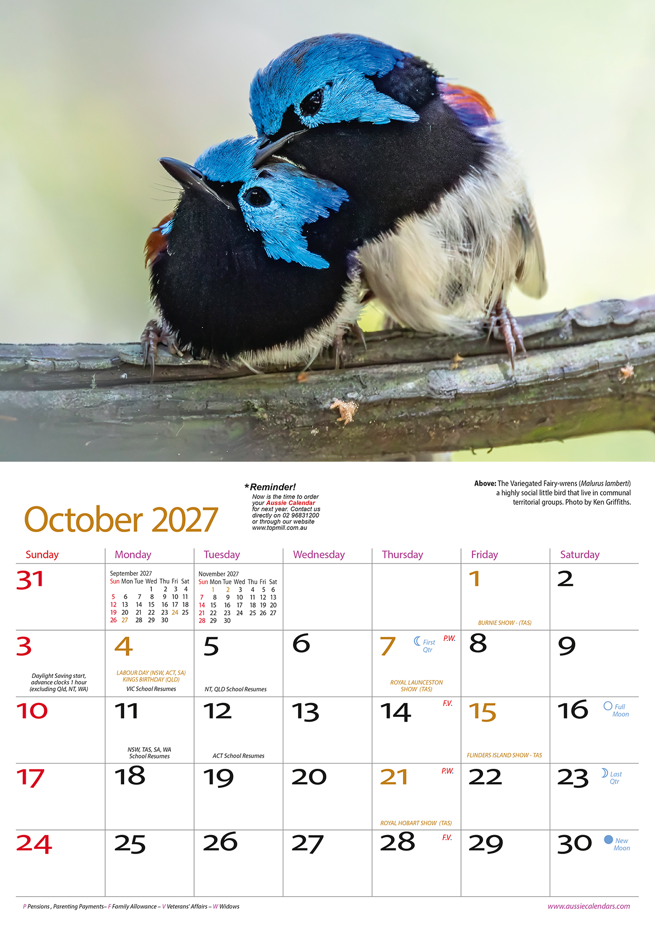 Australian Colourful Birds 2027 - Image 6