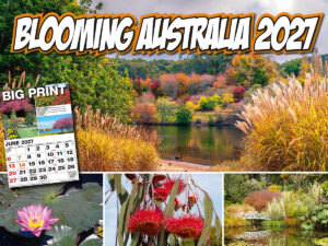 Blooming Australia 2027