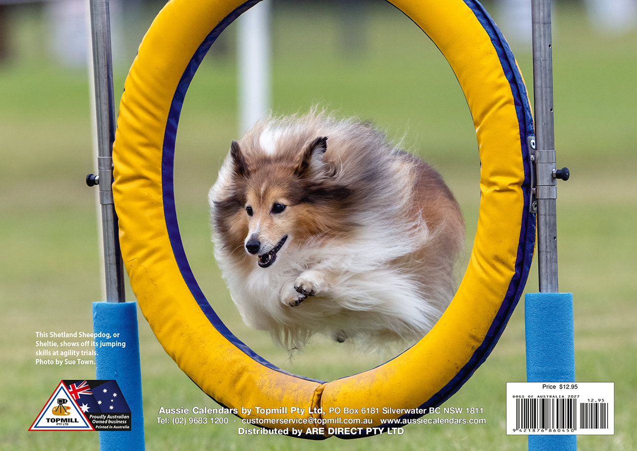 Dogs of Australia 2027 - Image 3