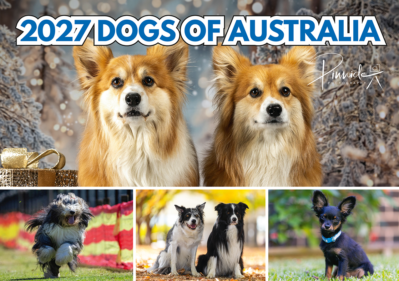 Dogs of Australia 2027