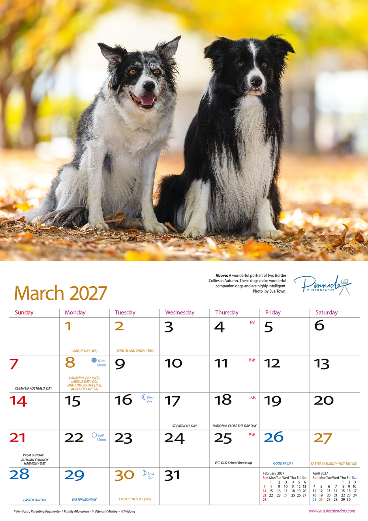 Dogs of Australia 2027 - Image 2