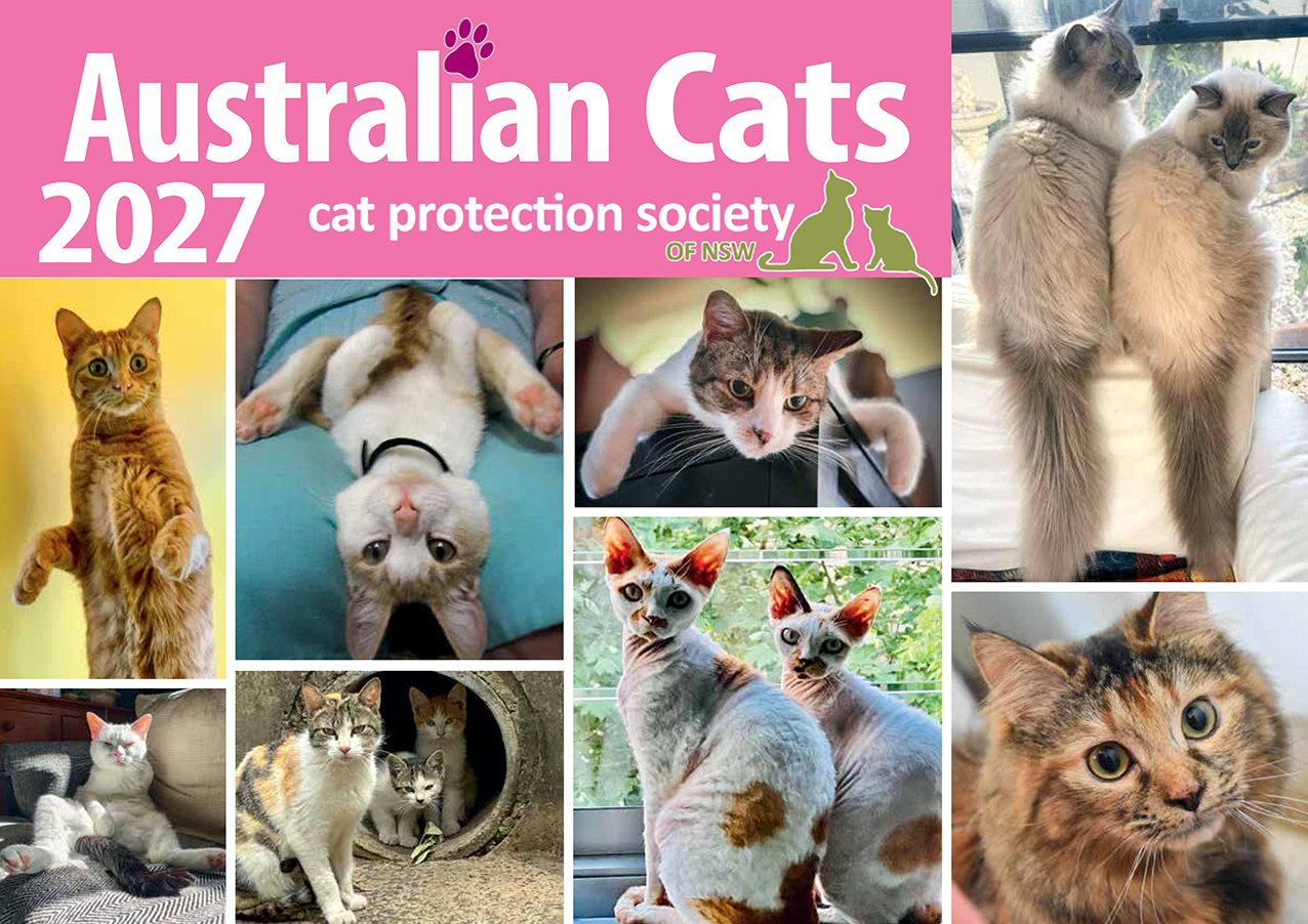 Australian Cat Calendar 2027